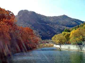 正版澳门天天开彩大全，燃油催化器